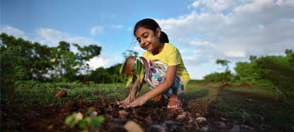 little girl planting tree